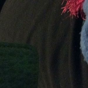 Meet your Posher, Diane